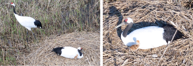 R4.5.14撮影・R4.5.16撮影（写真）