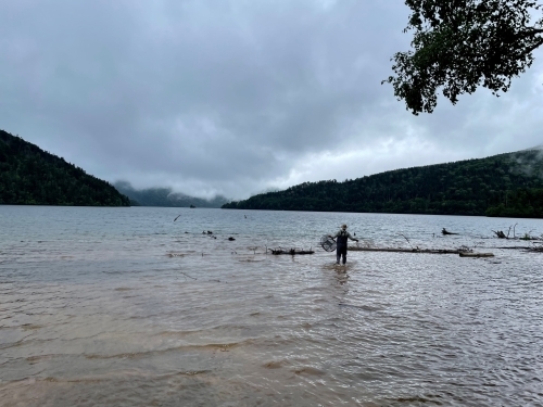 わな籠の設置＃