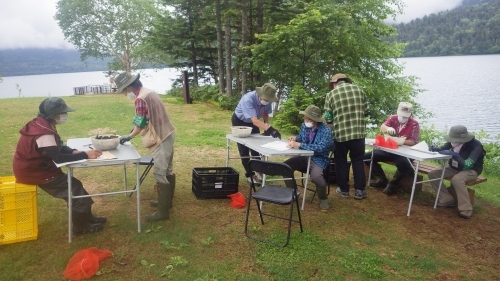 計測や計数調査＃