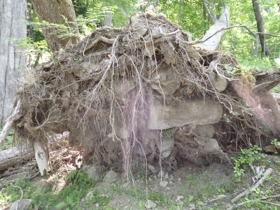 洞爺湖地区PV活動