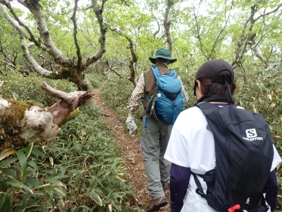 洞爺湖地区PV活動