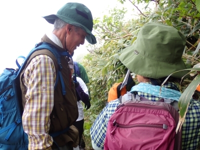 洞爺湖地区PV活動