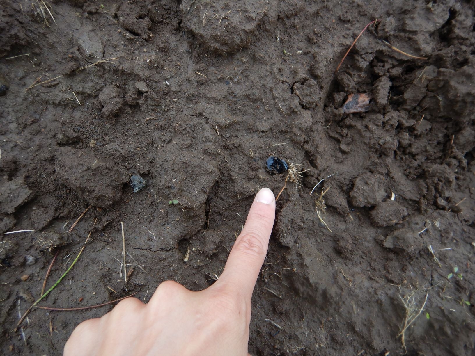 指の先に黒く光るのは黒曜石