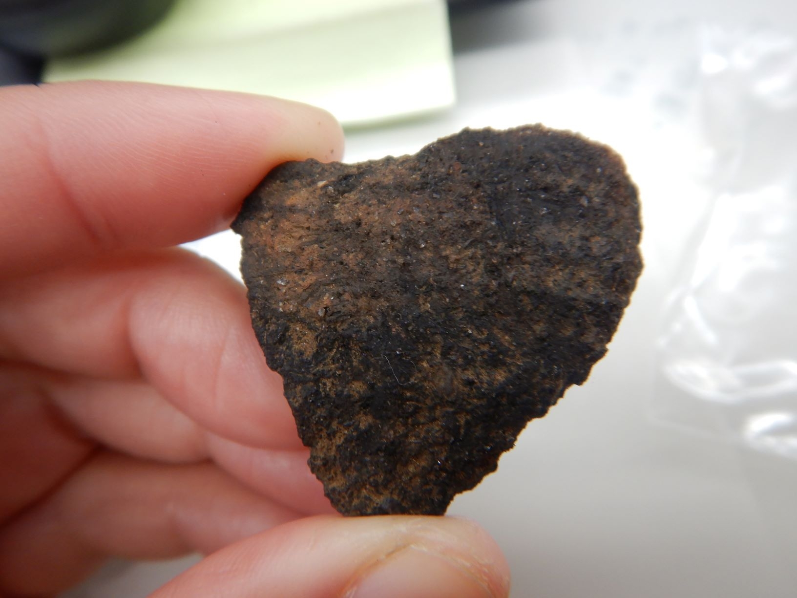 巡視中に発見した土器片