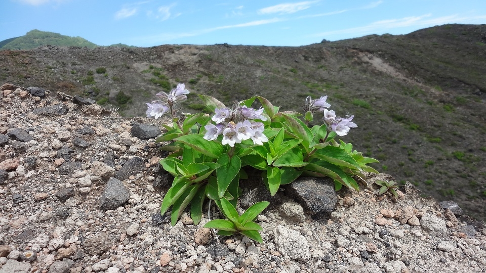 テキスト#あああ