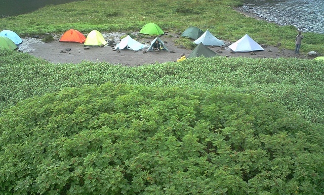 ヒサゴ沼利用調査