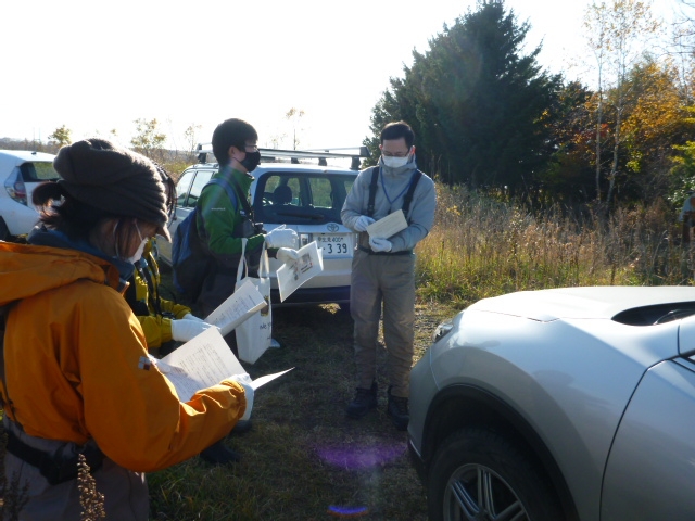 代替えテキスト