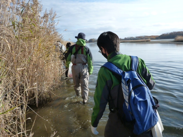 代替えテキスト