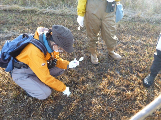 代替えテキスト