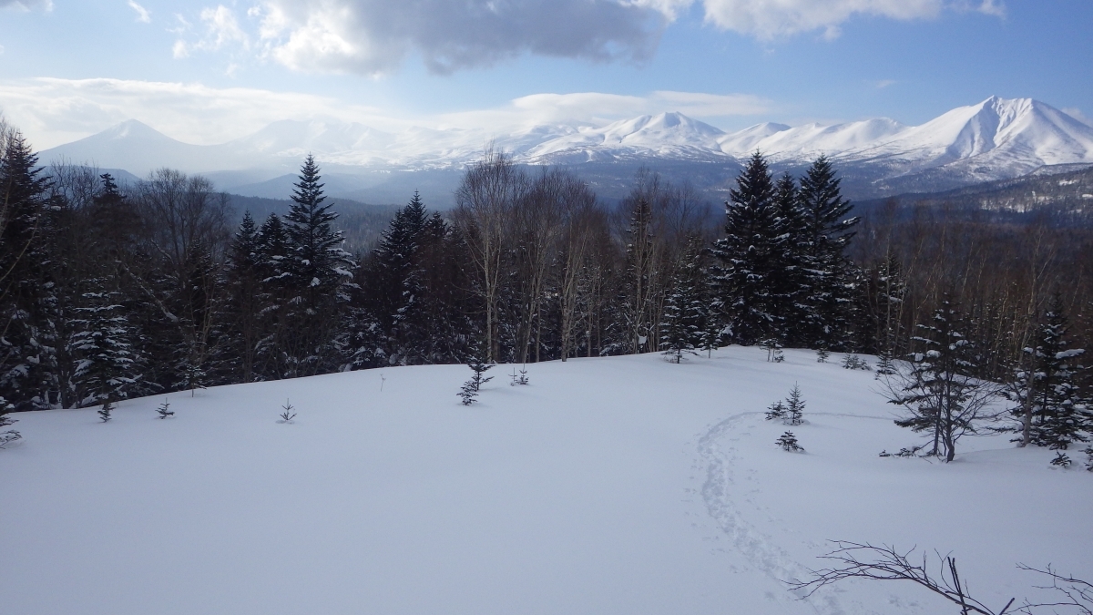 十勝岳連峰を望む