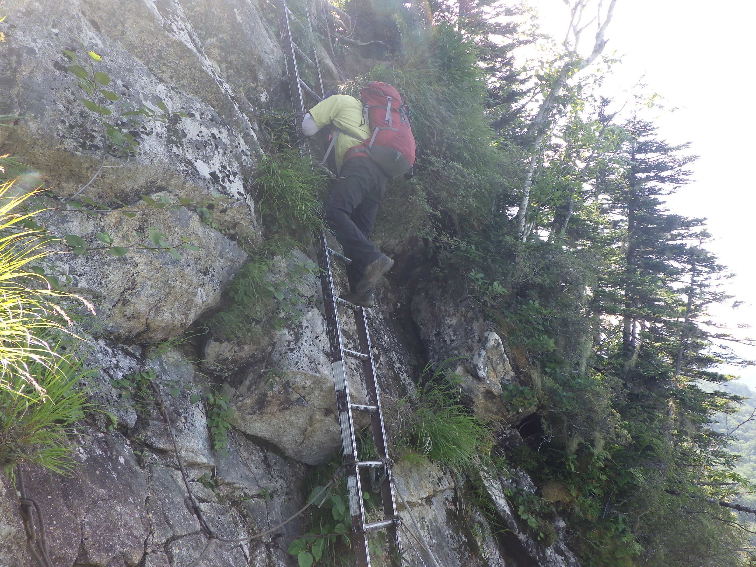 代替えテキスト