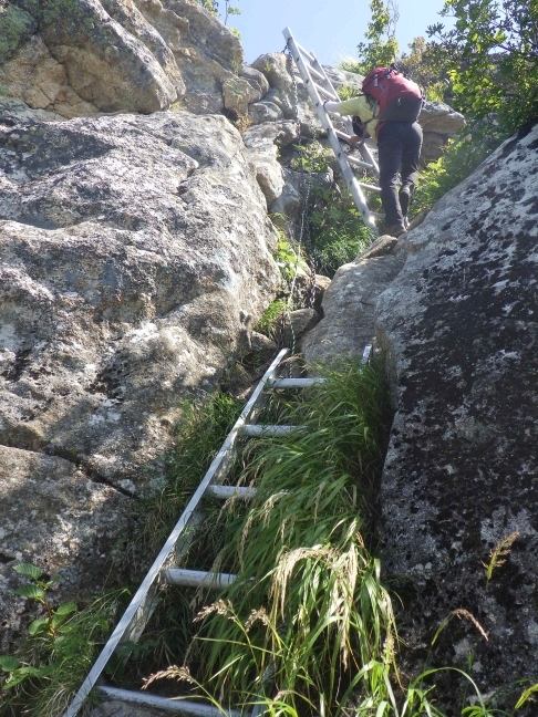 代替えテキスト