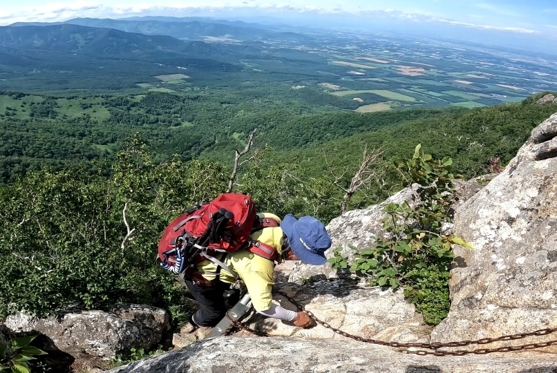 代替えテキスト