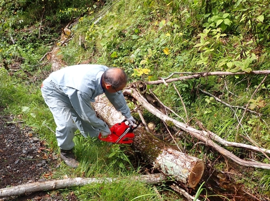 代替えテキスト