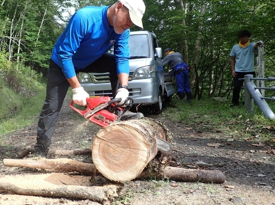 代替えテキスト