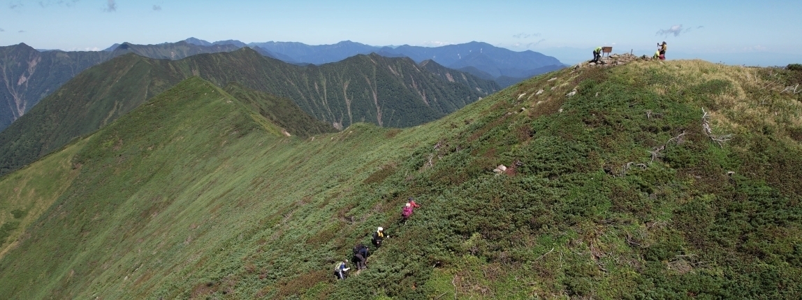 代替えテキスト