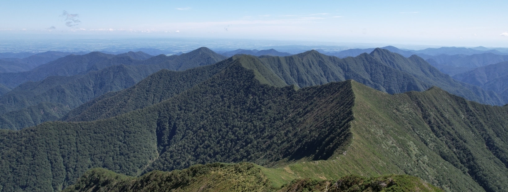 代替えテキスト