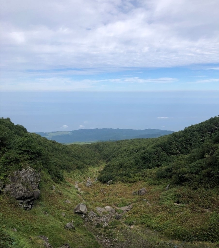 代替えテキスト