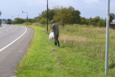 代替えテキスト