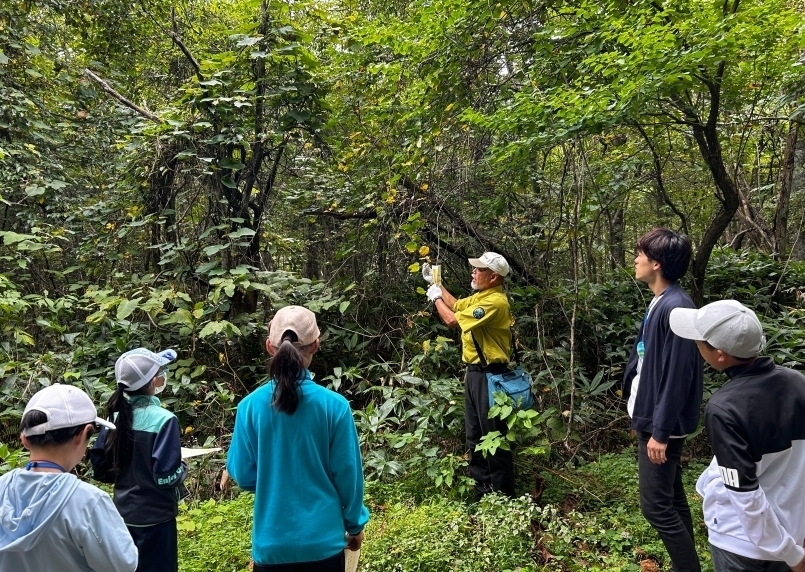 代替えテキスト