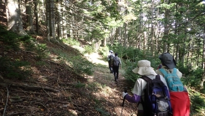 代替えテキスト