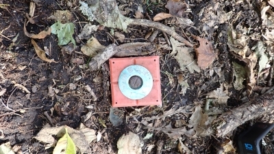 代替えテキスト