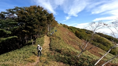 代替えテキスト