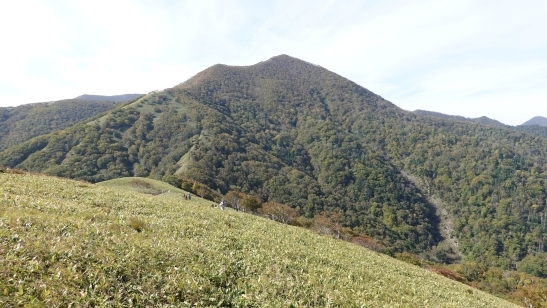 代替えテキスト