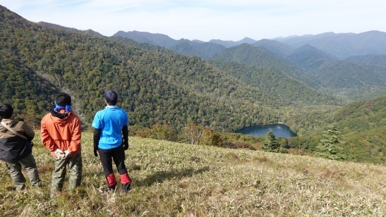 代替えテキスト