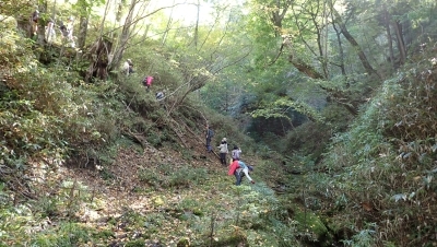 代替えテキスト