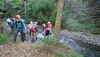 代替えテキスト
