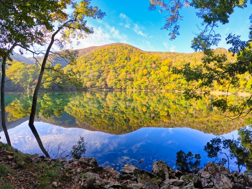 代替えテキスト