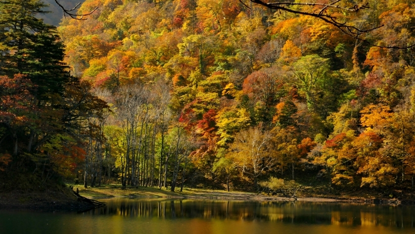 代替えテキスト