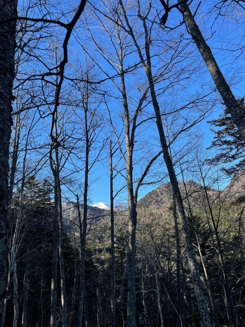 ウペペサンケ山その１