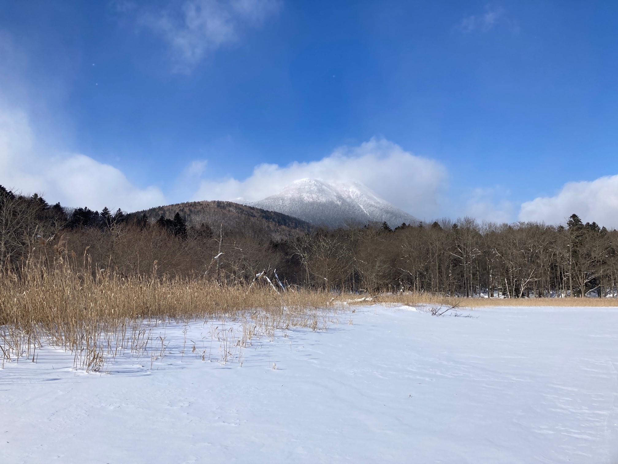 代替テキスト＃代替テキスト