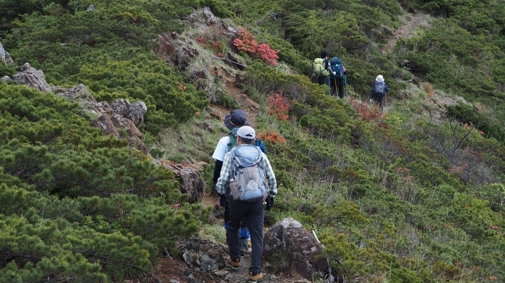 代替えテキスト
