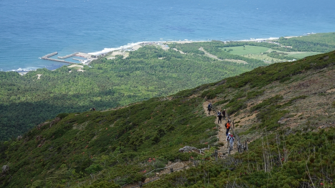 代替えテキスト