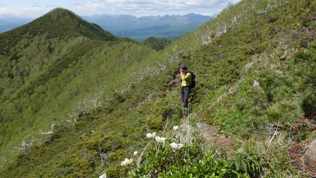 代替えテキスト