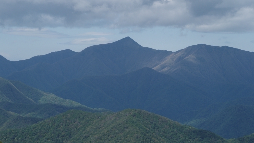 代替えテキスト