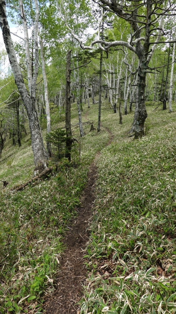 代替えテキスト