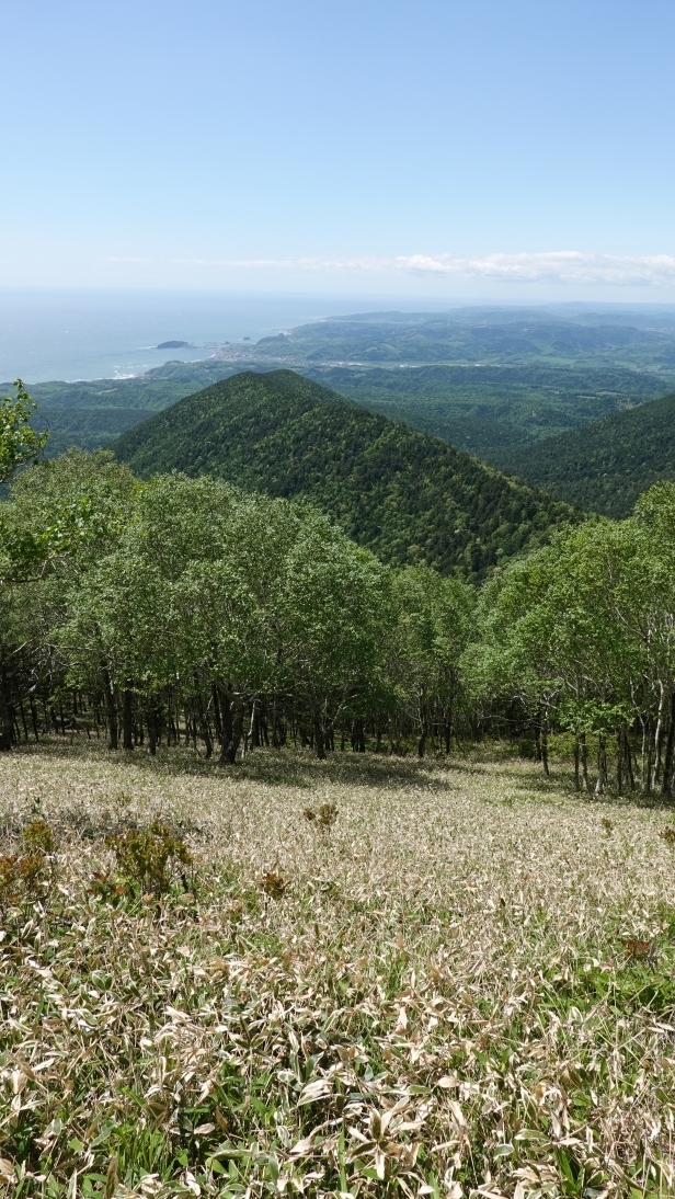 代替えテキスト