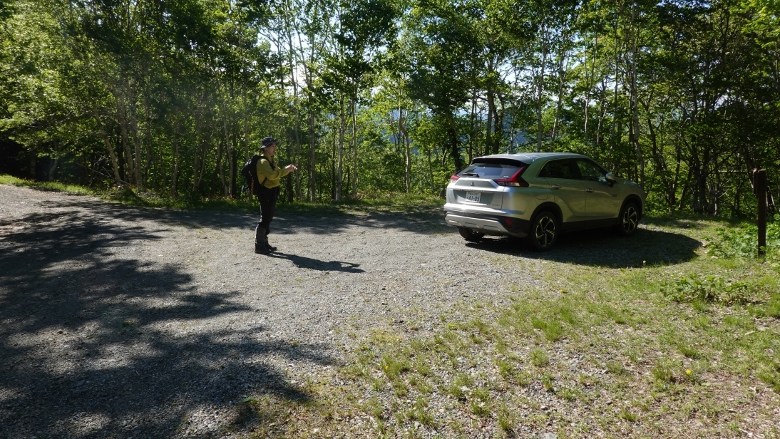 代替えテキスト