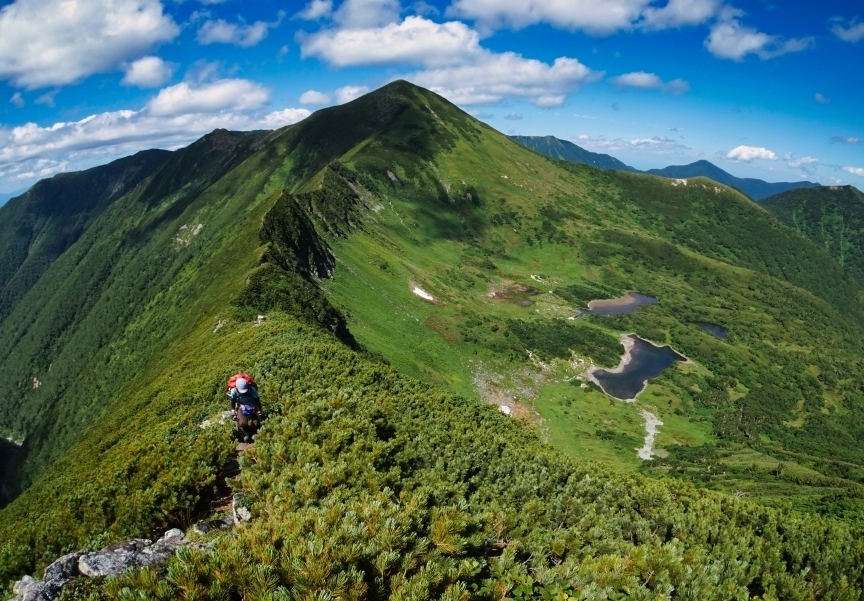 代替えテキスト