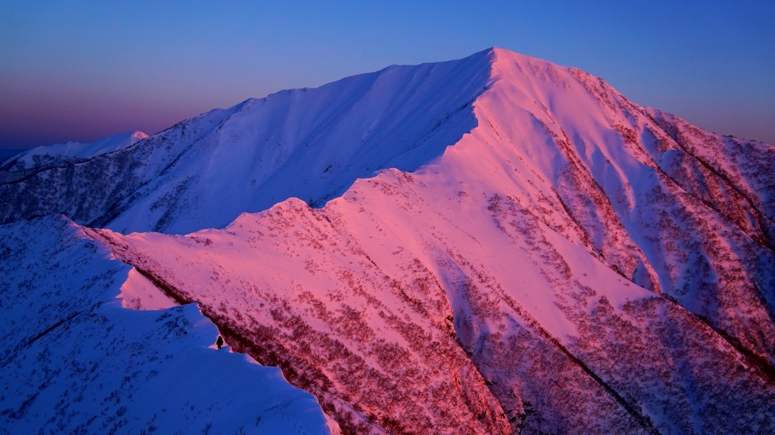 代替えテキスト