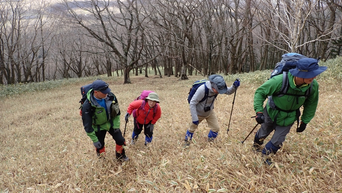 代替えテキスト