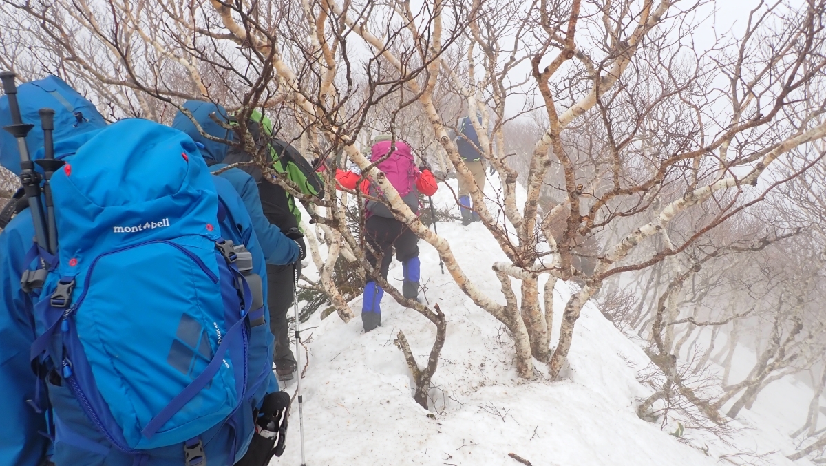 代替えテキスト