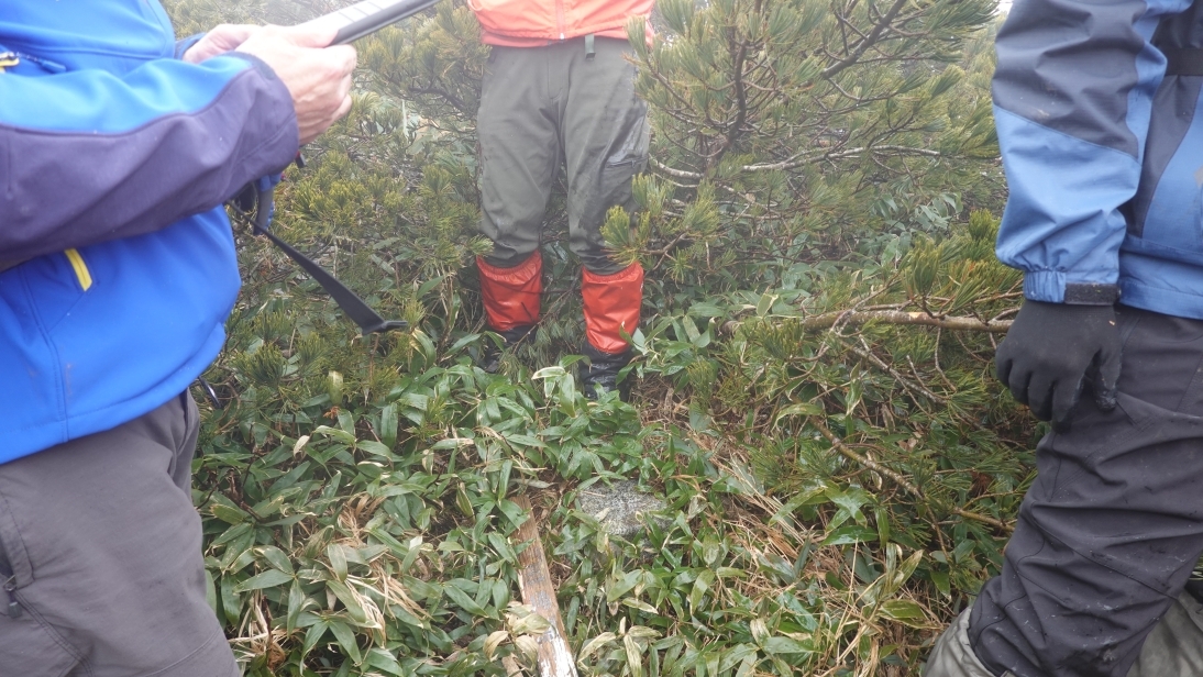 代替えテキスト