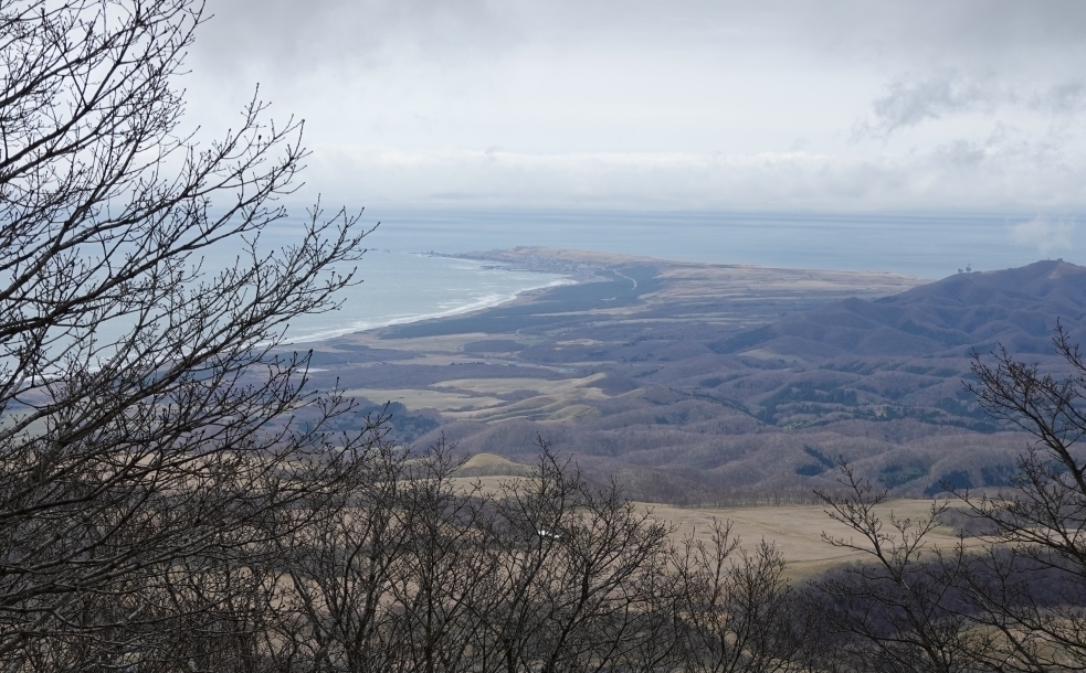 代替えテキスト