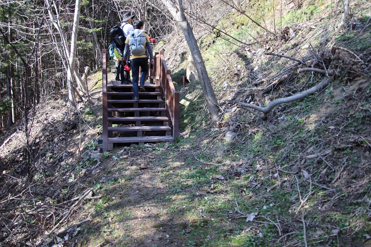 倒木撤去後の画像