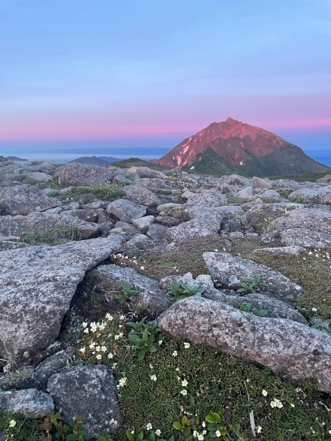 朝焼けに染まるニペソツ山